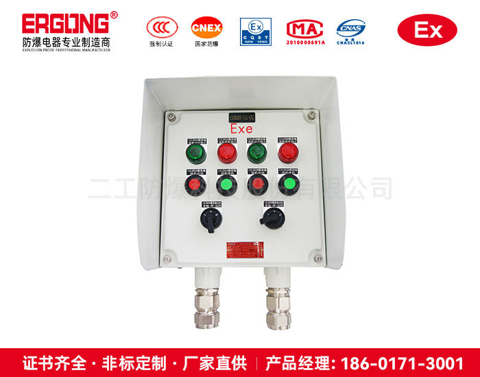 專業(yè)生產防爆防腐接線箱隔爆操作柱
